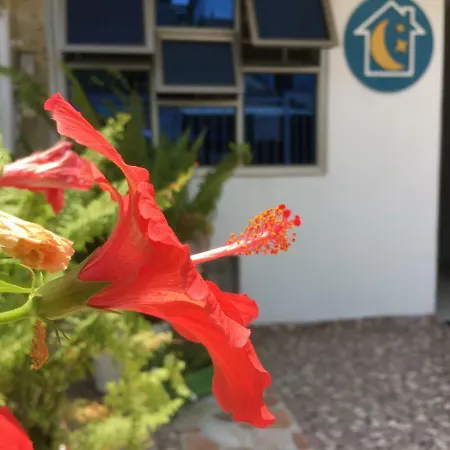 Casa Luna Guest house Cartagena